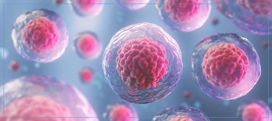 Stem Cell Therapy Specialist Near Me in New Bern, NC Stem Cell Therapy Specialist Near Me in New Bern, NC
