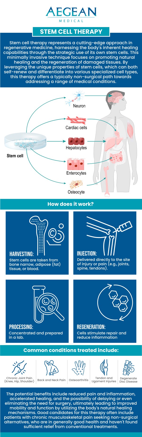Cell therapy can help with several different chronic or degenerative conditions, which may include: chronic pain; degenerative joints; Parkinson’s disease; multiple sclerosis; autoimmune conditions; cardiovascular disease, and Crohn’s. Aegean Medical offers cell therapy to treat a variety of issues, from aesthetic to chronic pain management and rejuvenation. Visit today or contact us today or book an appointment online. We are conveniently located at 2111 Neuse Blvd, Suite J, New Bern, NC 28560.